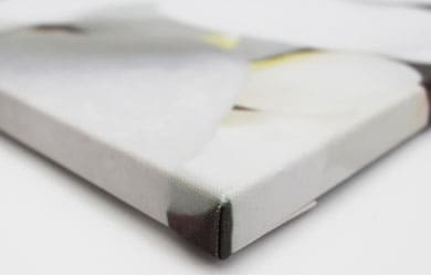 картины на холсте