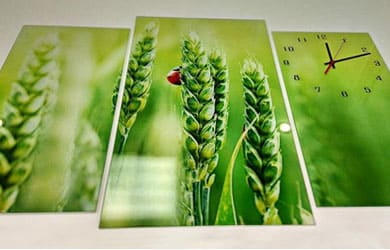 Картины с часами