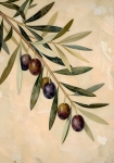 Живопись. Оливковая ветвь