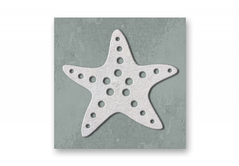 модульная картина Арт Постеры. Морская звезда - Оливковый фон