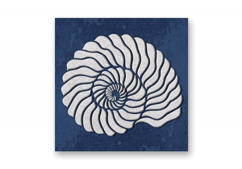 модульная картина Арт Постеры. Ракушка - Синий фон