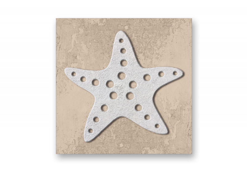модульная картина Арт Постеры. Морская звезда - Песочный фон