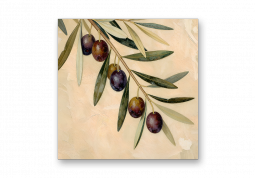 модульная картина Живопись. Оливковая ветвь