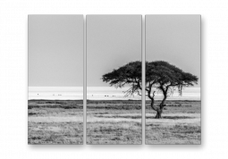 модульная картина Природа. Африканский черно-белый пейзаж