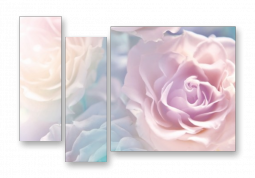 модульная картина Цветы. Крупные розы 