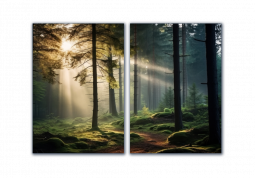 модульная картина Природа. Лучи солнца в лесу