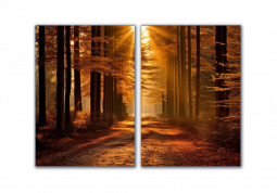 модульная картина Природа. Огненный лес 