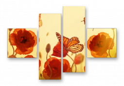 модульная картина Цветы. Маки с бабочками 