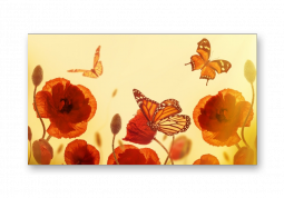 модульная картина Цветы. Маки с бабочками 