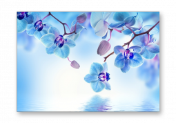 модульная картина Цветы. Голубые орхидеи над водой